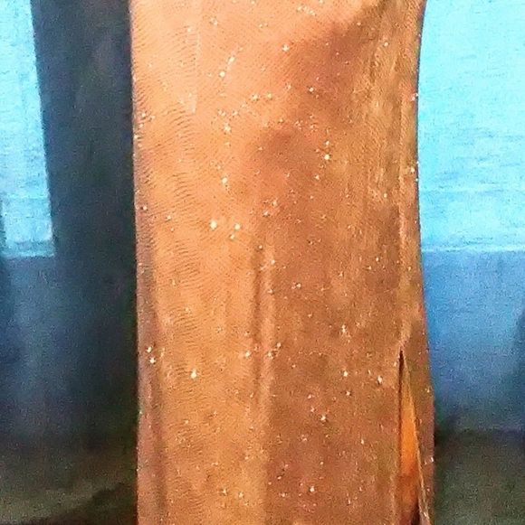 PROM/GRAD DRESS - Picture 13 of 14